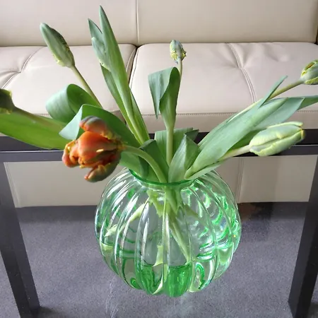公寓 Apartmenthaus Lindenbuehl 米尔豪森