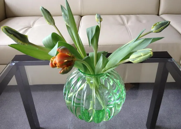 Apartament Apartmenthaus Lindenbuehl Mühlhausen